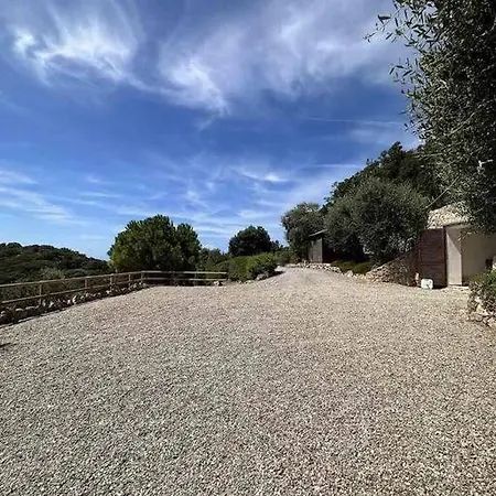 Il Puntino