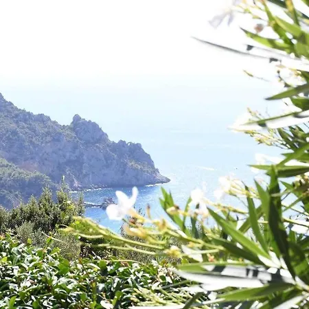 Il Puntino